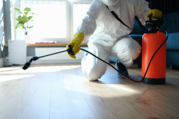 Trusted Unattended Death Cleanup service in Fawnskin, CA - Four Month Blood Cleanse